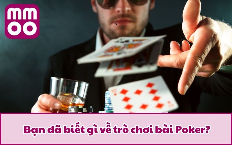 Hướng Dẫn Chơi Poker Từng Bước Cho Tân Thủ Gia Nhập 2 Bạn đã biết gì về trò chơi bài Poker?