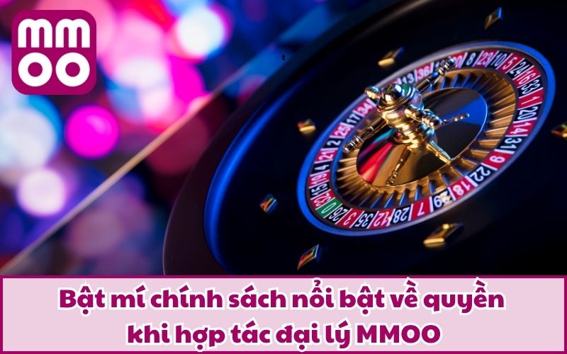 Hợp Tác Đại Lý 2 Bật mí chính sách nổi bật về quyền khi hợp tác đại lý MMOO