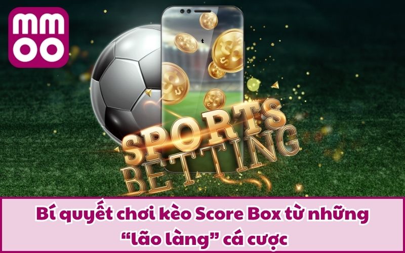Kèo Score Box Là Gì? Cách Phân Loại Cùng Bí Kíp Của Cao Thủ 4 Bí quyết chơi kèo Score Box từ những “lão làng” cá cược