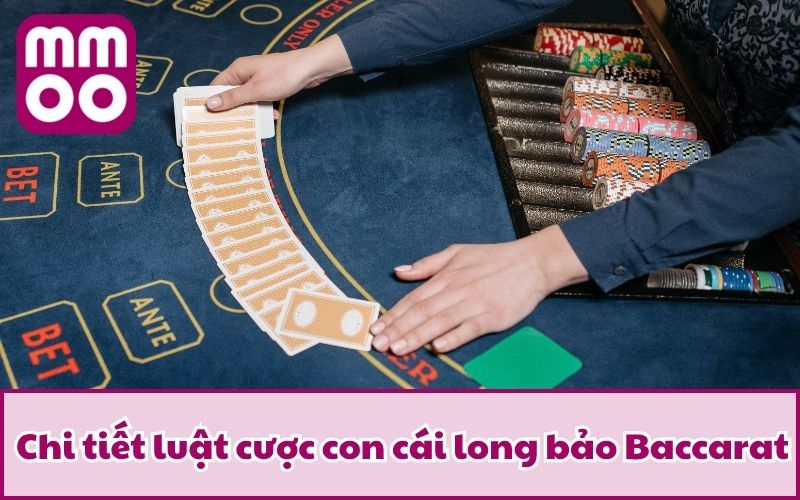 Làm Chủ Long Bảo Baccarat Cùng MMOO | Cập Nhật 2025 4 Chi tiết luật cược con cái long bảo Baccarat