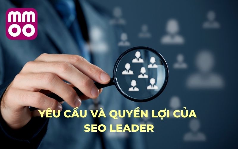 Tuyển dụng MMOO 2 Yêu cầu và quyền lợi của SEO Leader