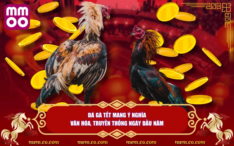 Đá Gà Tết Thử Vận May, Săn Lộc Cực Khủng Ngày Đầu Năm 2 Đá gà tết mang ý nghĩa văn hóa, truyền thống ngày đầu năm