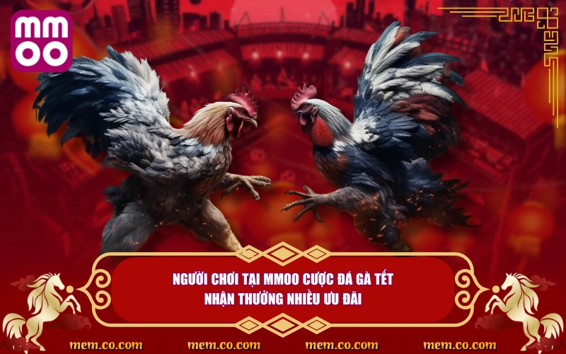 Đá Gà Tết Thử Vận May, Săn Lộc Cực Khủng Ngày Đầu Năm 5 Người chơi tại MMOO cược đá gà tết nhận thưởng nhiều ưu đãi